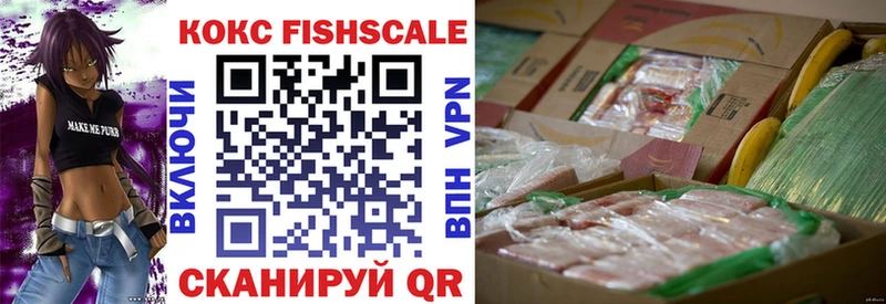 мега tor  цены наркотик  Верхняя Салда  Cocaine FishScale 
