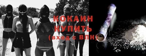 индика Армянск