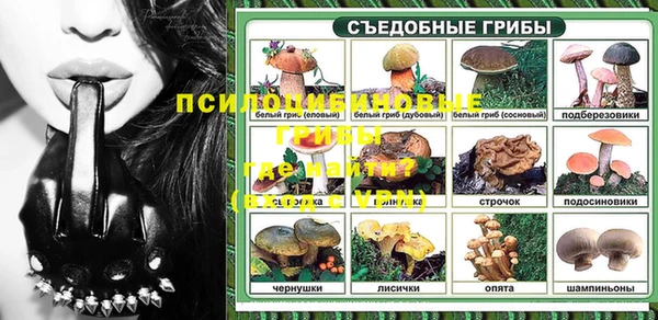 гидра Арсеньев