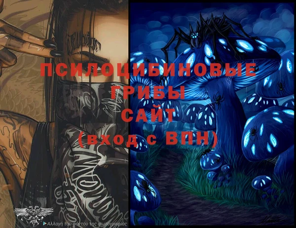 индика Армянск