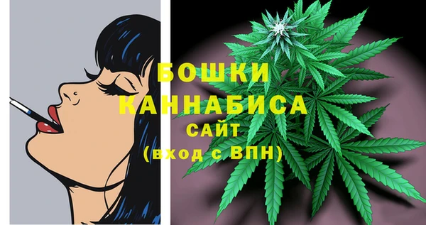 гидра Арсеньев