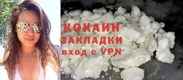 гидра Арсеньев