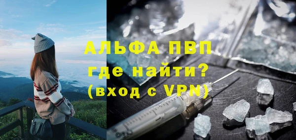 гидра Арсеньев