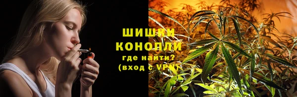 гидра Арсеньев